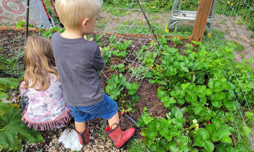 20230828_082221-Svea-Block-scaled