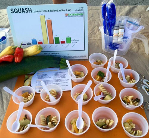 Samples of squash pasta salad on display