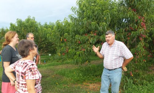 Farmer Phil Ottenger discusses orchard production with students