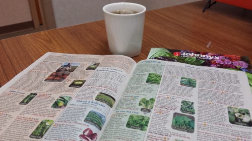 Open seed catalog next to a cup of tea.