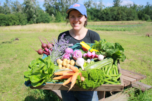 What is a Community Supported Agriculture program (CSA)?