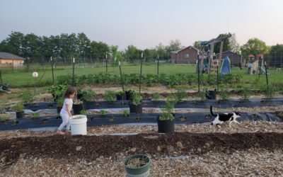 Gardener Story: Ashley Chambers