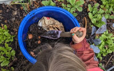 Worm Tubes: In Bed Composting
