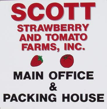 Scott Strawberry and Tomato Farm image