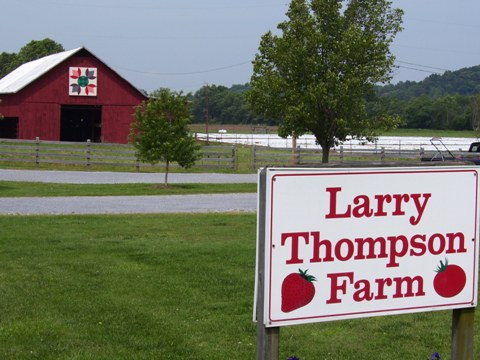 Larry Thompson Farm image