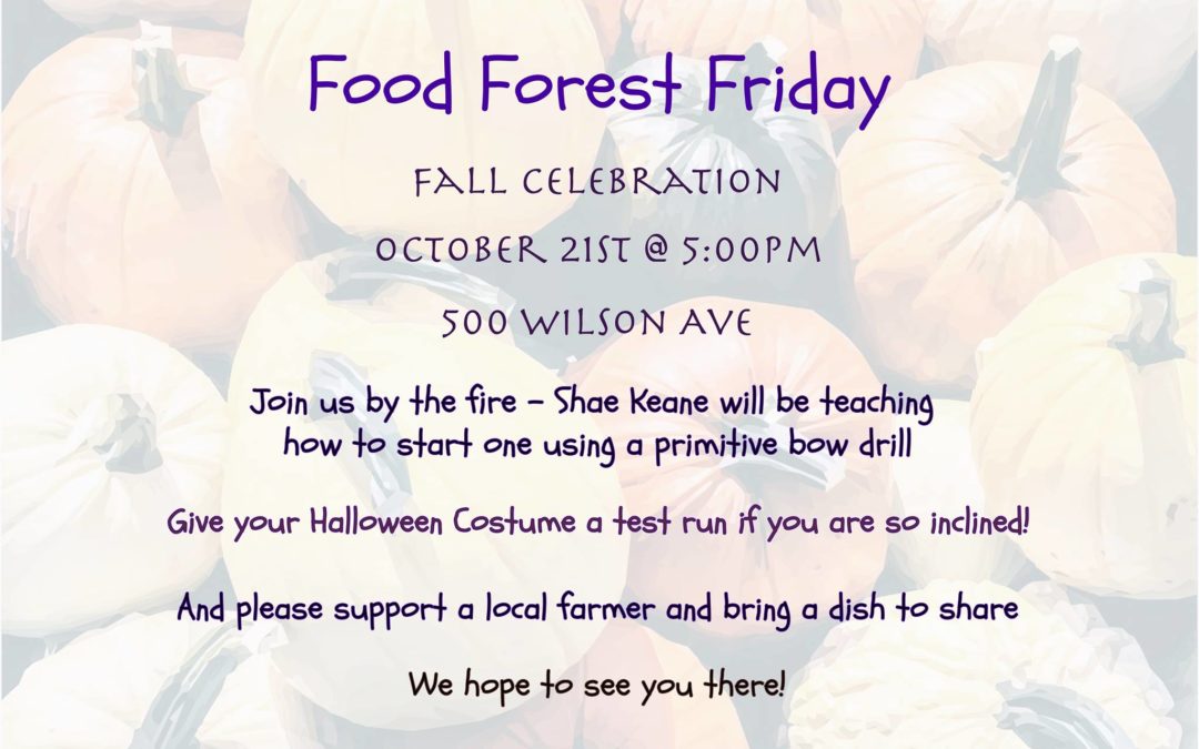 Youth programs: Food Forest Friday