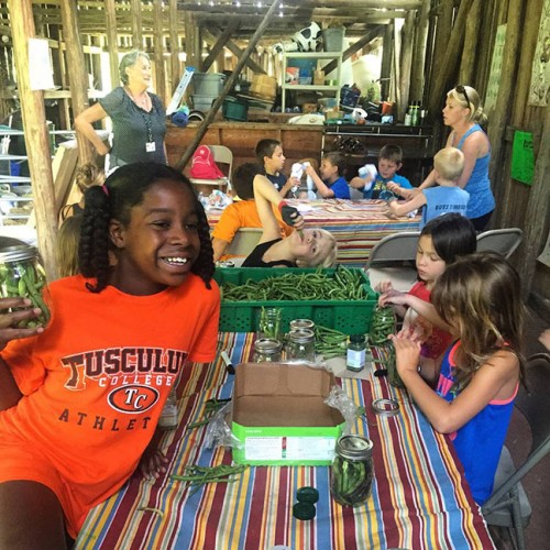 2015 Farm Day Camp participants work on crafts and make dilly beans in an old tobacco barn. The Farm & Food Learning Center will include indoor and outdoor learning spaces, with access to running water and a teaching kitchen.