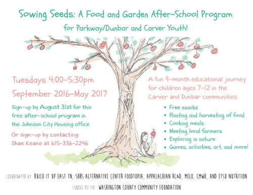 Sowing Seeds Flyer update